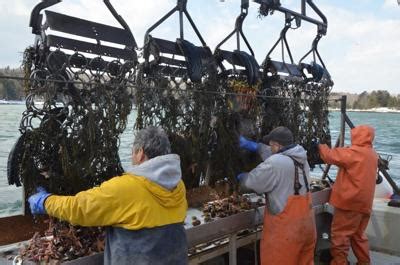 maine scallop lottery 2023 winners